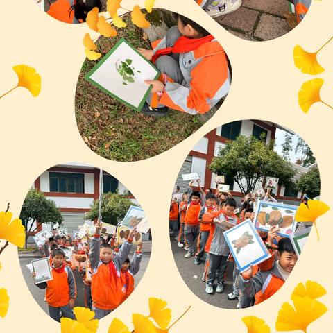 铜仁市第三小学四年级“探索地质奥秘·科普展望未来”九龙洞研学旅行活动