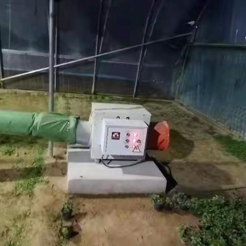 苗圃做好各项预防措施  积极应对极端暴雪天气