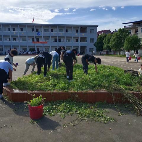 劳动砺心志，实践促成长——洄田中学劳动教育活动