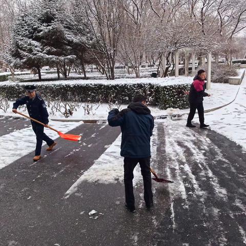 槐树岭支行积极开展扫雪行动，暖心保障客户安全出行