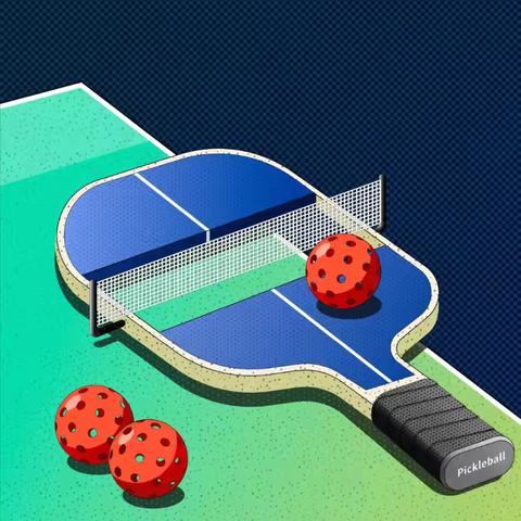 《匹克球进校园，掀起青春风暴》——【涞水县职业技术教育中心】