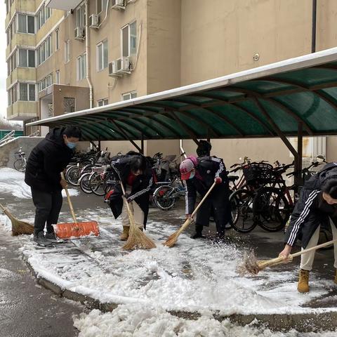 扫雪除冰暖人心  齐心协力保畅通 —-万寿路28号社区扫雪除冰活动