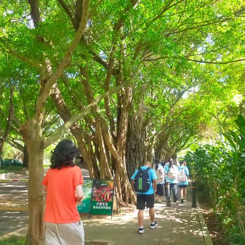 风景在路上，研学促成长                         ——深圳之旅第二天