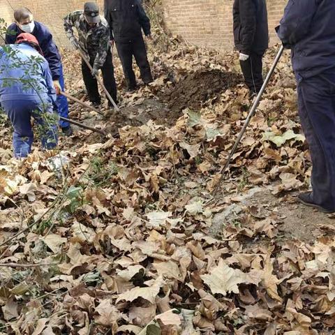 致敬城市美容师：平凡岗位上的不凡贡献