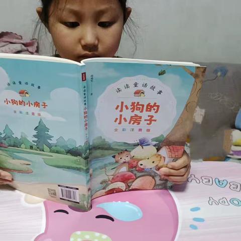 武川县第四小学 “和悦教学·书香启智”整本书阅读分享，推荐书籍《 小狗的小房子》