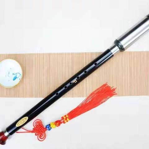 扬国韵，奏旋律——巴乌社团