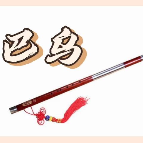 丝韵润心 乐动时光——临河区第二小学巴乌社团