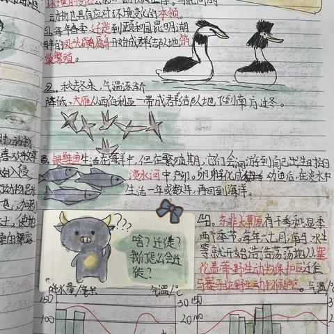 兑小六1班适应生存的本领优秀笔记合集