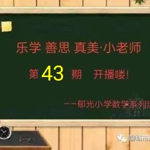 乐学·善思·真美小老师——郁光小学数学系列活动（第43期）