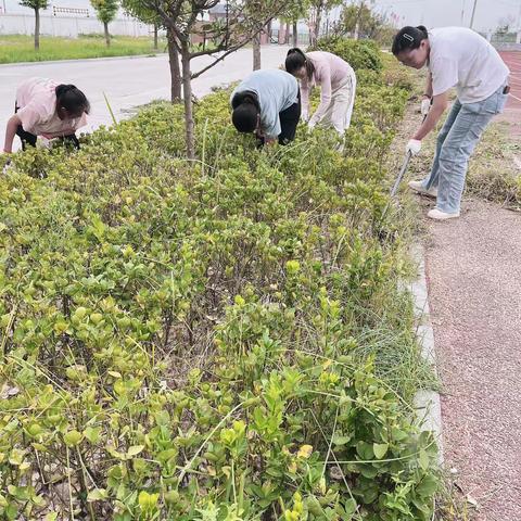 “除草护绿，为爱赋能”感谢有您——铜山区马坡镇大新庄小学家长志愿者除草活动