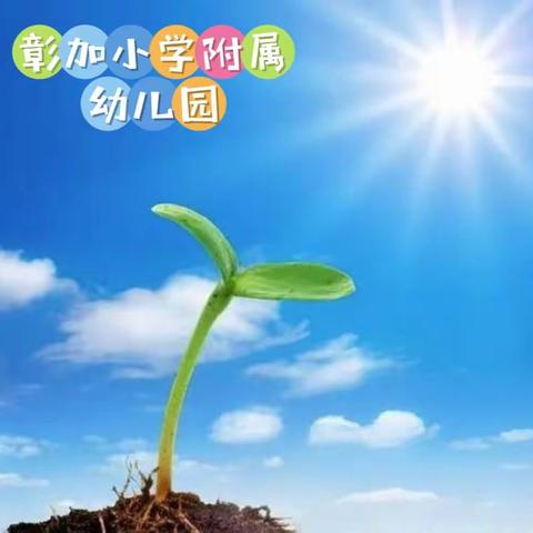 彰加小学校附属幼儿园2024年春季招生简