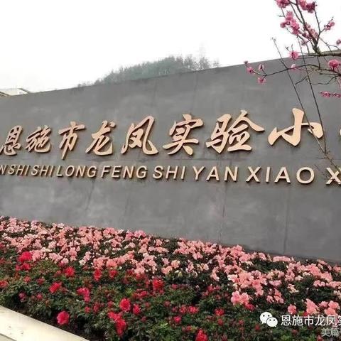 龙凤实小逐梦人——齐心协力，“英”花绽放 ﻿（2024年秋英语组工作总结）