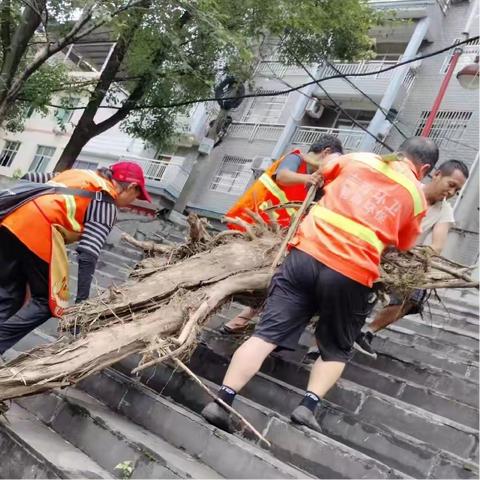 【湖南碧泰】清理河面漂浮物  提升河道“颜值”