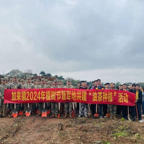 加来镇联合驻加来部队开展“同植双拥树，共建双拥城”大型义务植树活动。