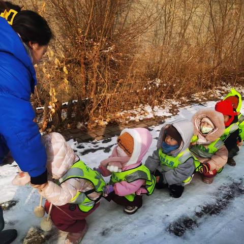 新城区大地幼儿园——【卫生保健】科学预防健康“童”行