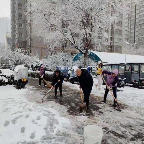 【丹凤朝阳】社区总动员 除雪保安全