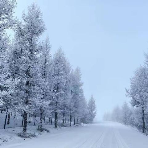 花园街办事处兴华社区以雪为令——清雪大行动