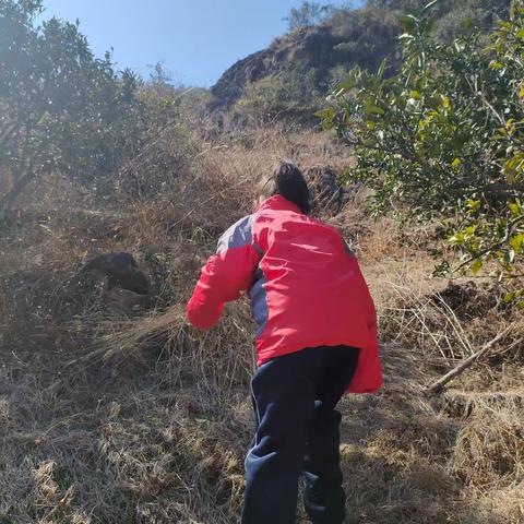 探索自然之美：与孩子一起户外爬山