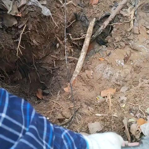 亳源水务多部门协同作战，守护城市“血脉”畅通！