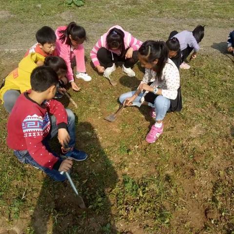 红荷路实验小学—清理花坛 美化校园