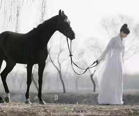 凤凰台怀古（一）	[七绝]