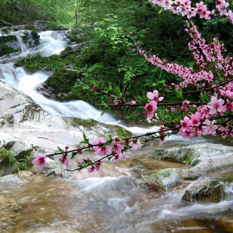 立春感怀	 	[五律]