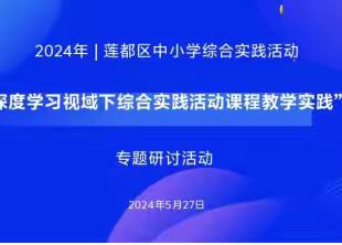 聚焦深度学习   彰显实践之美  ——2024年莲都区中小学综合实践活动专题研讨活动