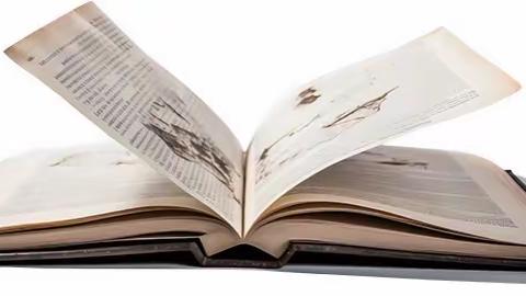 冬之美，读之美 | 实验南校“整本书阅读”活动