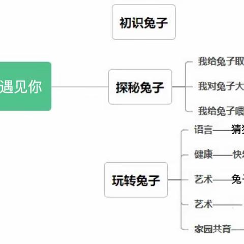 “兔”然遇见你——大（3）班班本课程