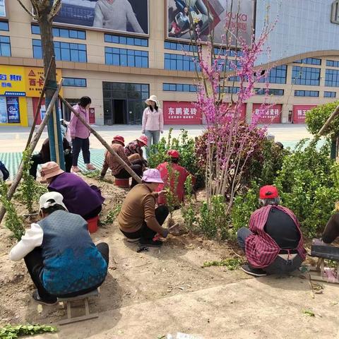 园林绿化工程施工汇报