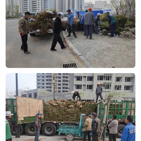 园林绿化工程施工实时汇报