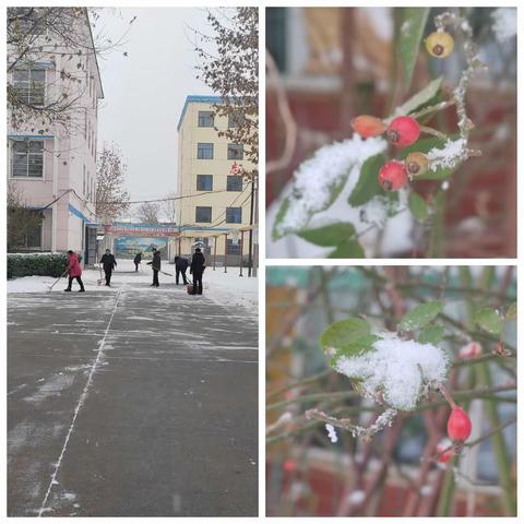 银装素裹美校园，扫雪除冰暖人心