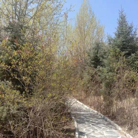 春暖花开古城山