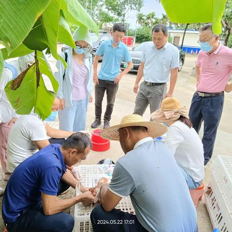 海南省动物疫病预防控制中心赴陵水县畜牧兽医局开展2024年春季重大动物疫病防控检查工作