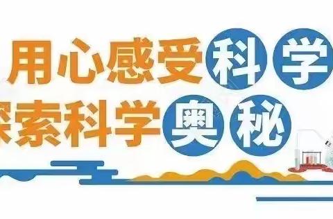 “实”验探索，“践”行真知——走进曲庄小学科学实验室