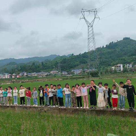 联合幼儿园第十七周大二班幼儿成长记录
