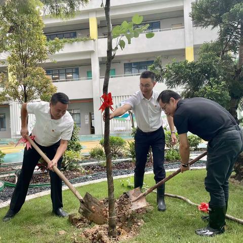 党建引领，绿美共筑植树活动