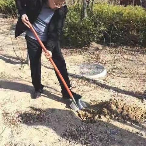 垦利区第一实验小学植树活动