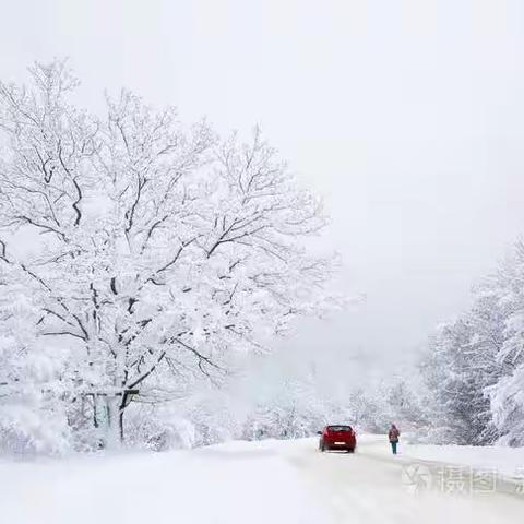 极寒天气畜禽养殖场应对措施