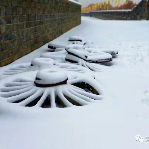 一下雪，古城变成了游乐园