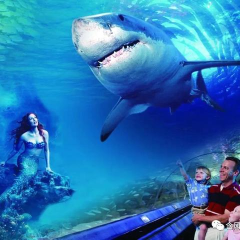 科技启智，研学致远 ‍ ‍——中国科技馆 北京富国海底世界研学深度研学游开启！ ‍ ‍ ‍ ‍