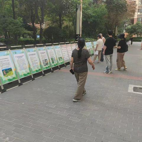 【太乙·永宁和乐】飞羽入邻曲，共筑生态梦——永宁苑社区携手陕西省野生动物保护协会奏响爱鸟护鸟新乐章