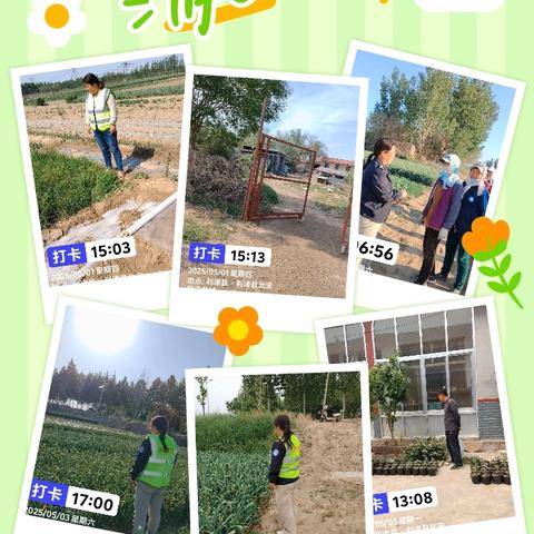 五一假期罂粟踏查不放松