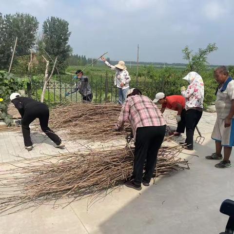 环境整治，共建美好家园