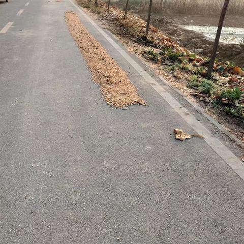 网格员加强加大宣传占道晒粮存在安全隐患