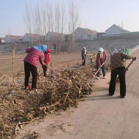 环境卫生整治，共建美好家园