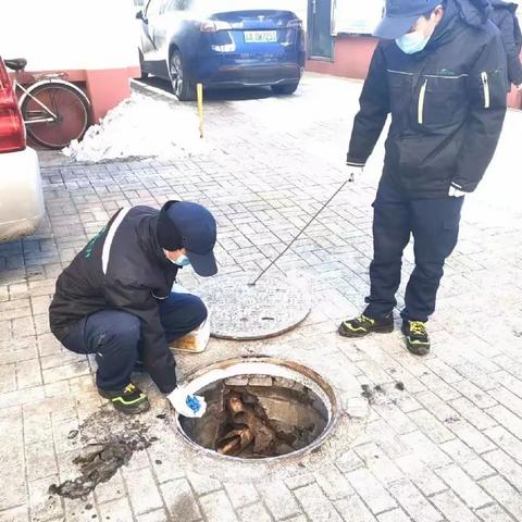 【阳光皂南 幸福社区】北下关街道皂君庙南路社区开展灭鼠灭蟑工作