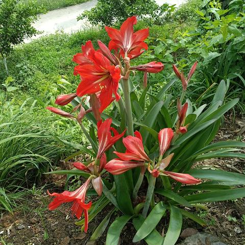 “五佳缘”之旅