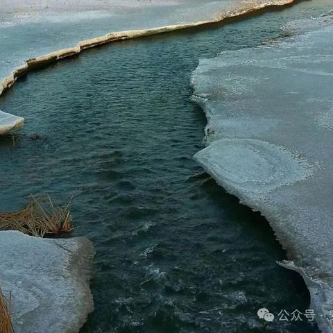 单县杨楼镇中心小学冬季防溺水安全致家长一封信