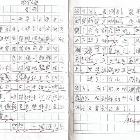 观察写话——下雨天☔️